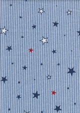 星（青）25.jpeg